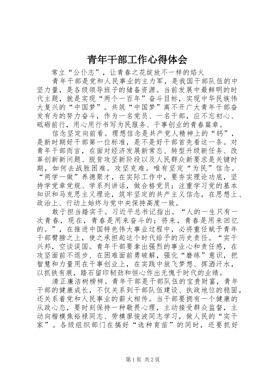 青年干部工作心得体会_第1页
