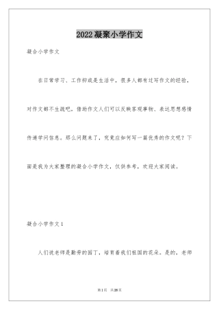 2024凝聚小学作文_2