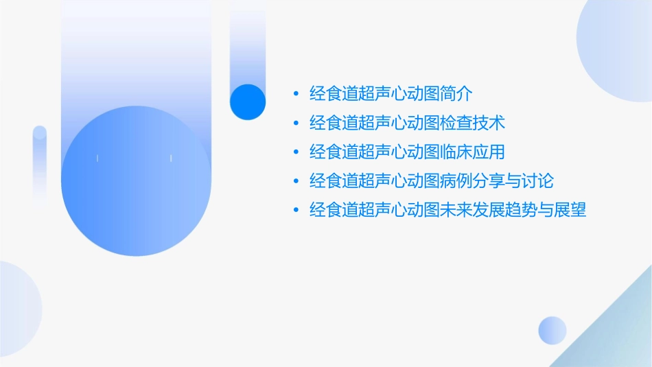 经食道超声心动图通用课件_第2页