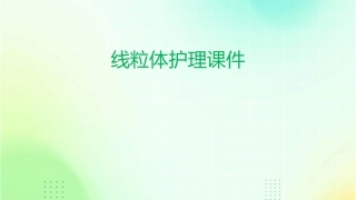 线粒体护理课件