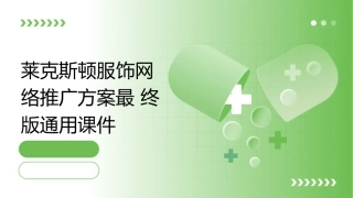 莱克斯顿服饰网络推广方案最终版通用课件
