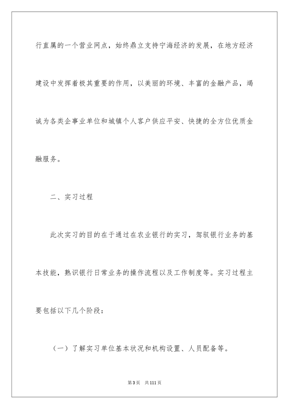 2024大学生银行的实习报告_第3页