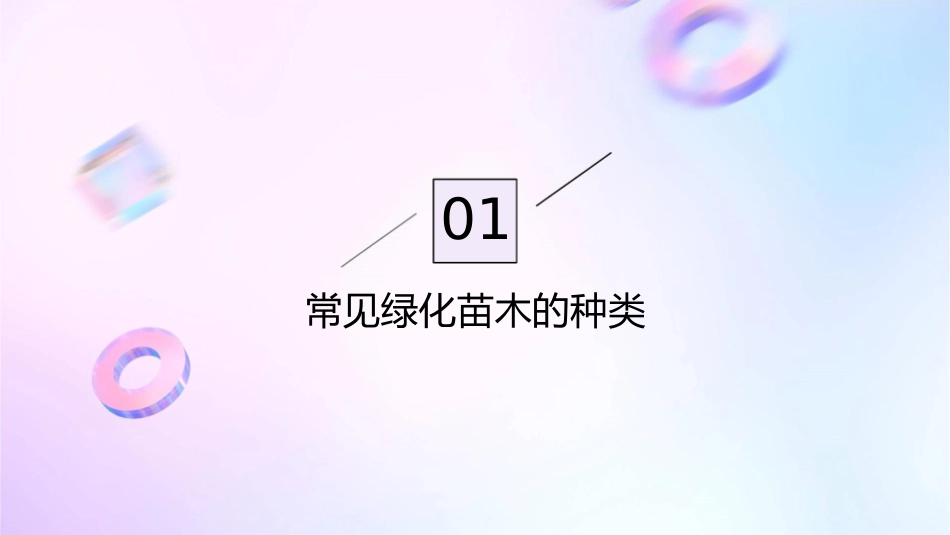 认识常见绿化苗木课件_第3页