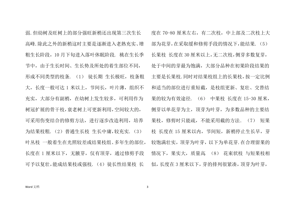 简短桃子的生长过程_第3页