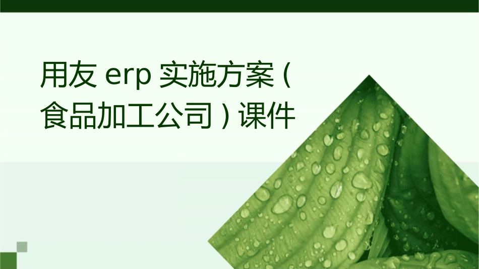 用友ERP实施方案(食品加工公司)课件_第1页