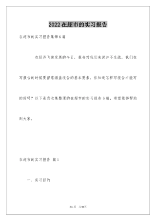 2024在超市的实习报告_34