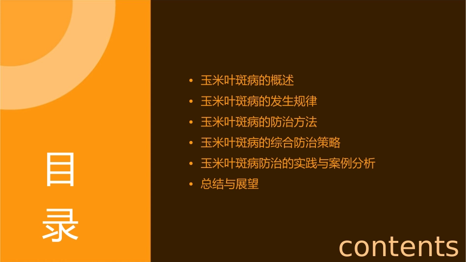 玉米叶斑病的发生及防治课件_第2页