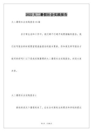 2024大二暑假社会实践报告_2