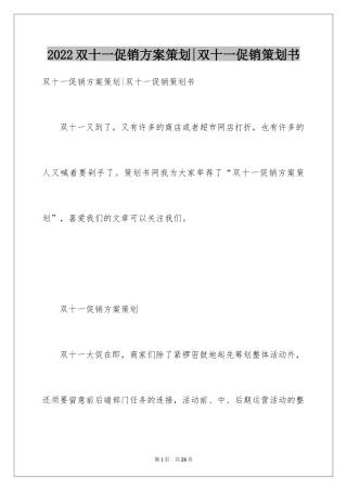 2024双十一促销方案策划-双十一促销策划书