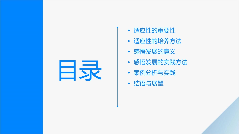 适应感悟发展课件_第2页