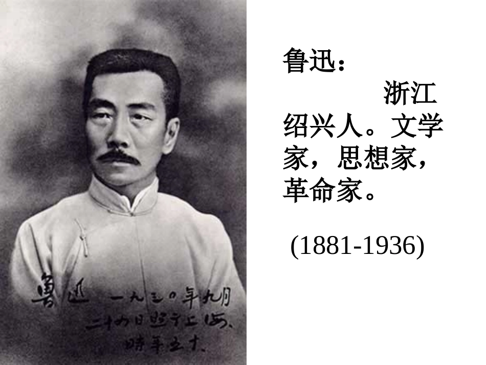 《一面》教学课件2_第2页