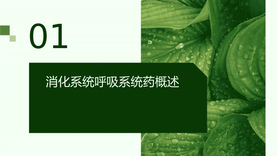 消化系统呼吸系统药剖析护理课件_第3页