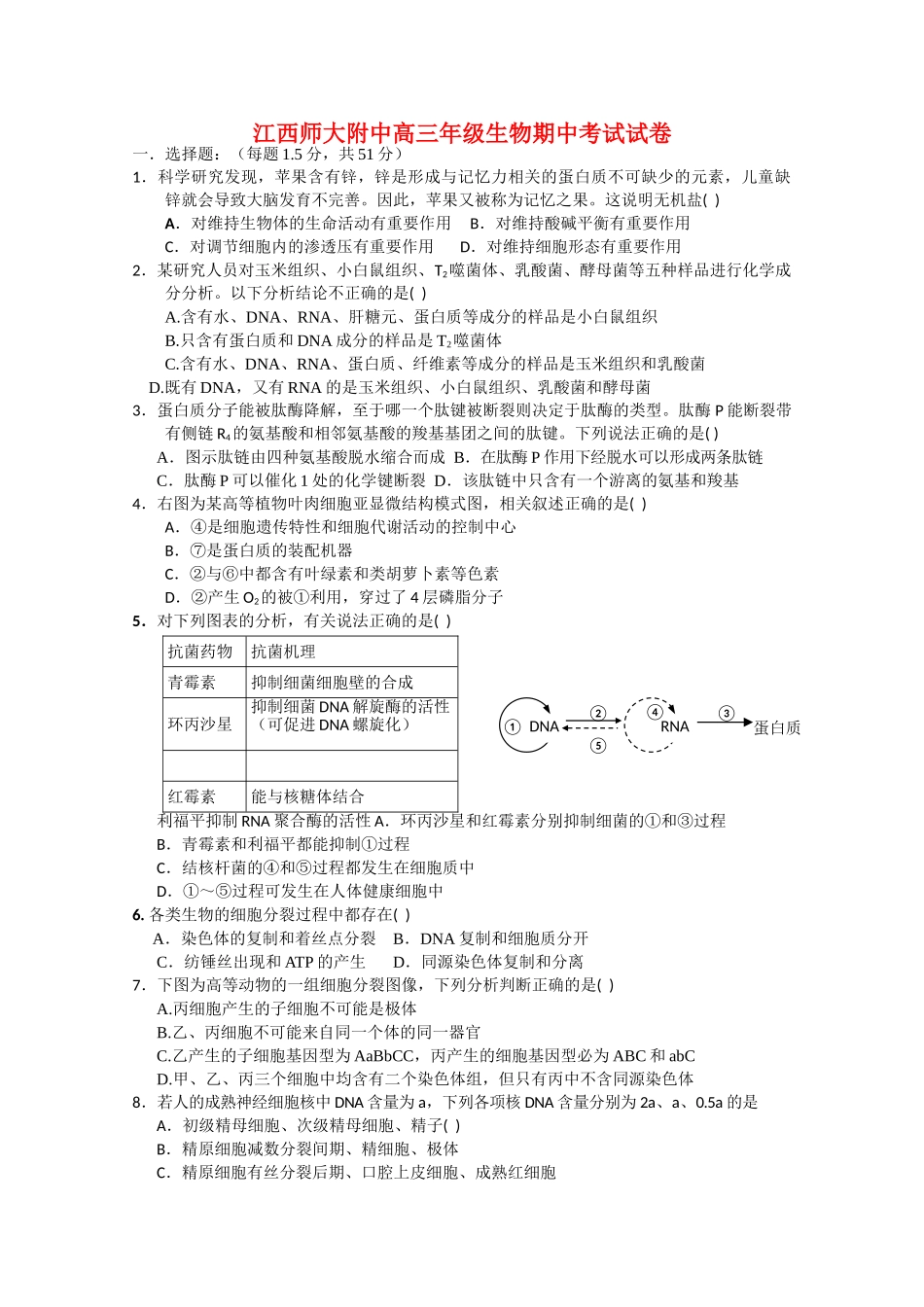 江西省2011高三生物期中考试新人教版会员独享 _第1页