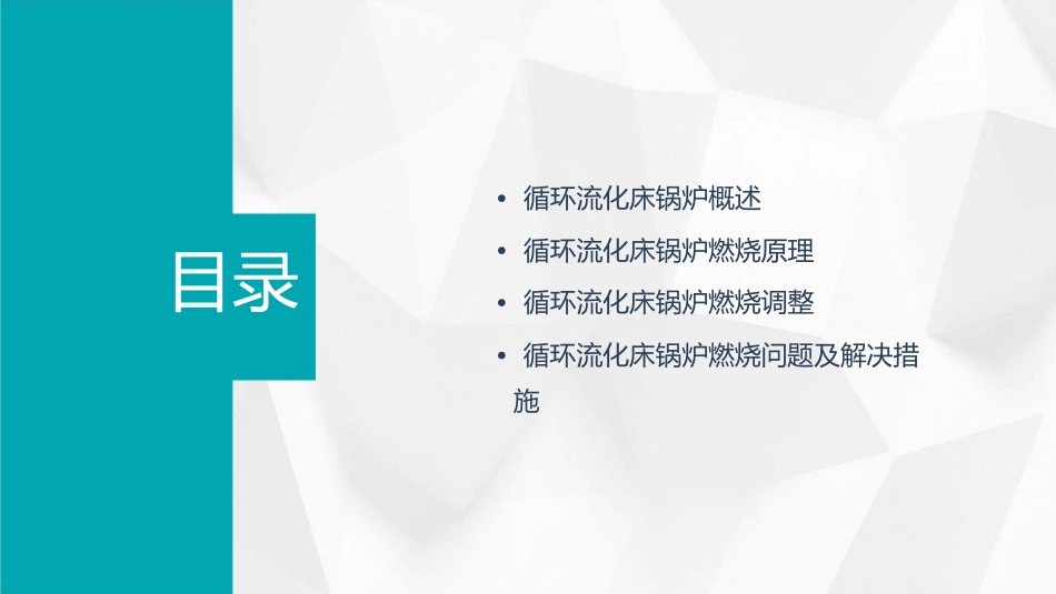 循环流化床锅炉燃烧调整课件_第2页