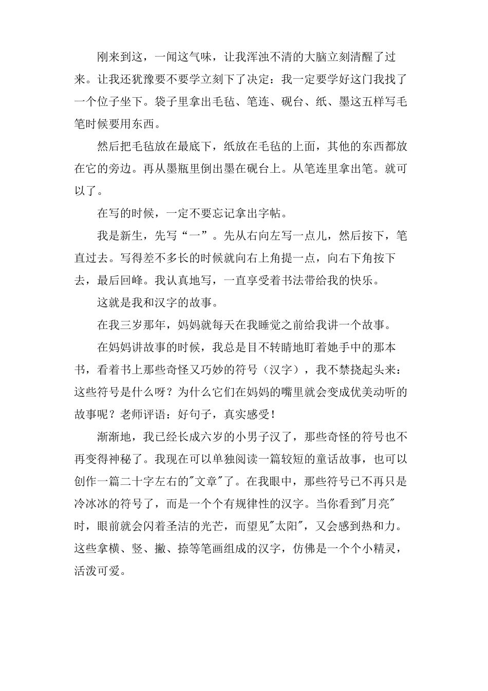 我和汉字的故事小学优秀作文_第2页