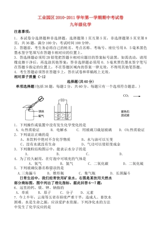 江苏省苏州市工业园区20102011九级化学第一学期期中试卷 沪教版 