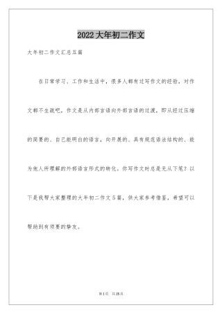 2024大年初二作文_145