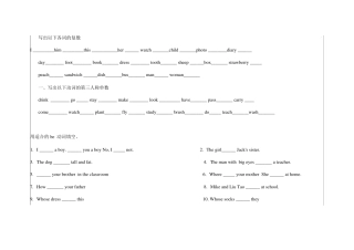 外研社小学英语复习题