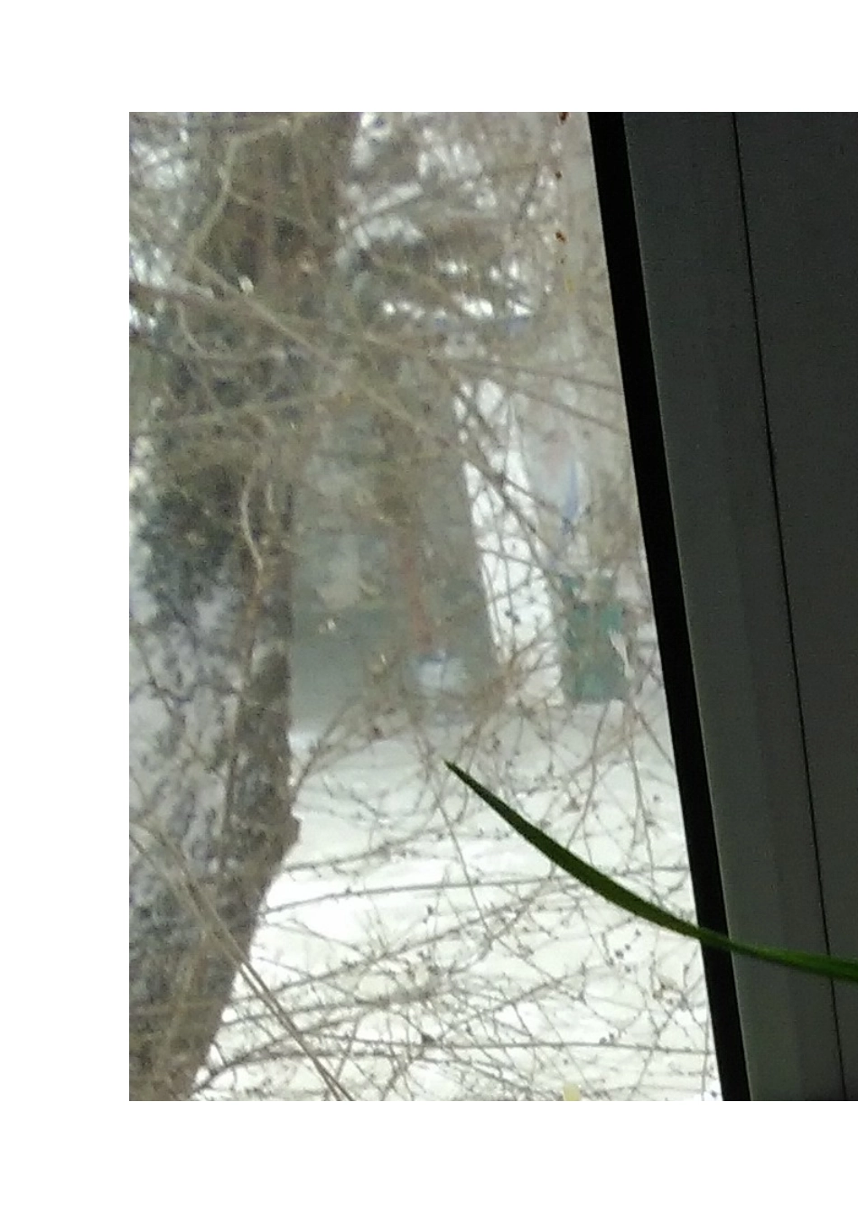 植物栽培活动总结_第2页