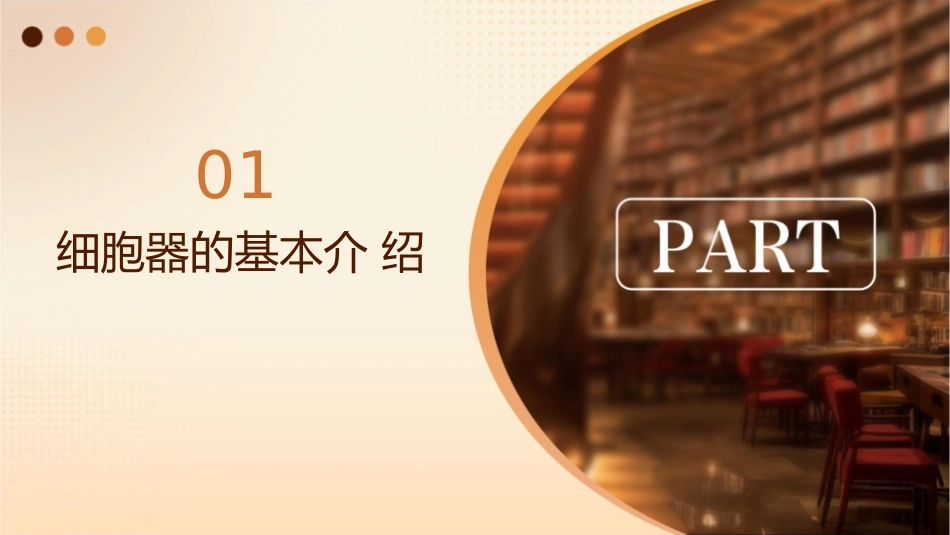 细胞器的协同合作课件_第3页