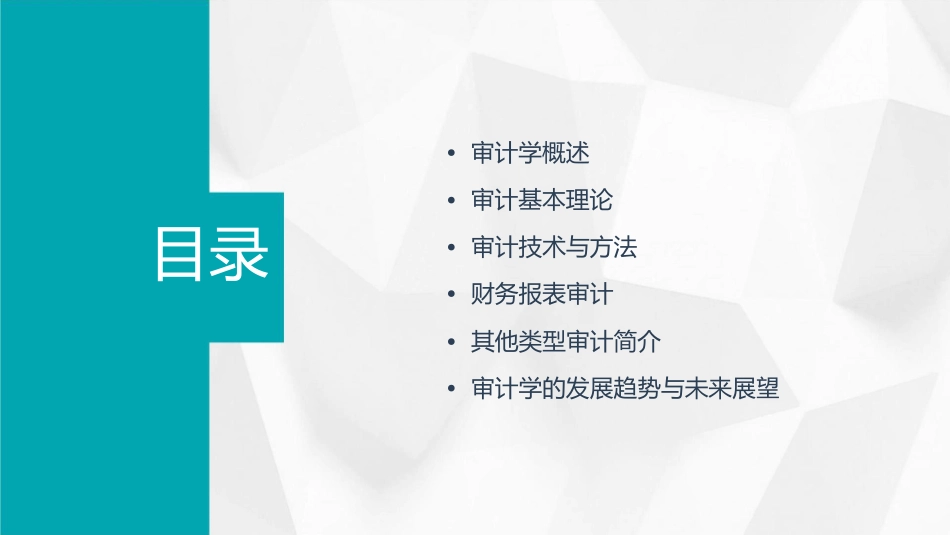 审计学一种整合的方法课件_第2页