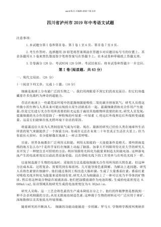 2019年四川泸州中考语文试题含答案