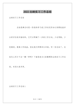 2024出纳实习工作总结_5