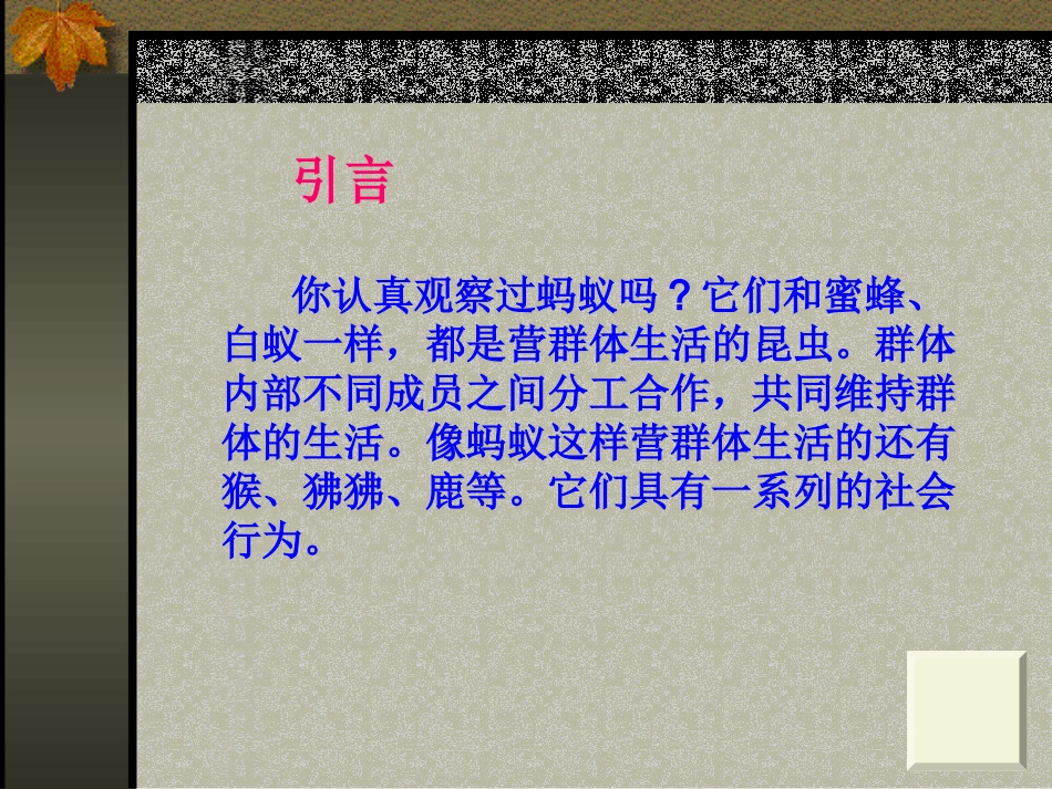 社会行为课件_第2页