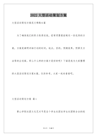 2024大型活动策划方案_2