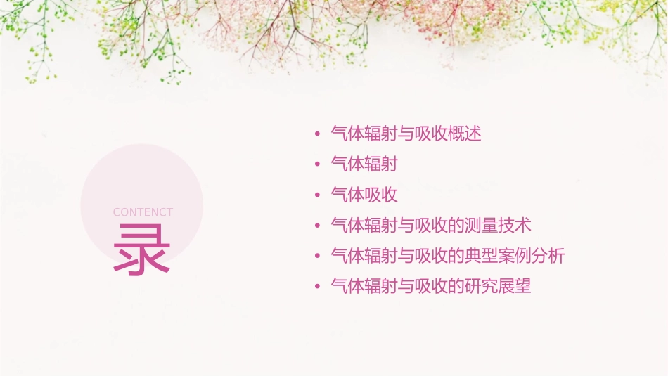 气体辐射与吸收课件_第2页