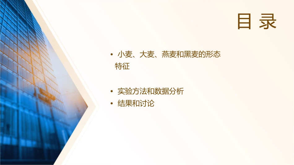 试验小麦大麦燕麦和黑麦的形态特征观察及亚种的识别张小均课件_第2页
