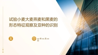 试验小麦大麦燕麦和黑麦的形态特征观察及亚种的识别张小均课件