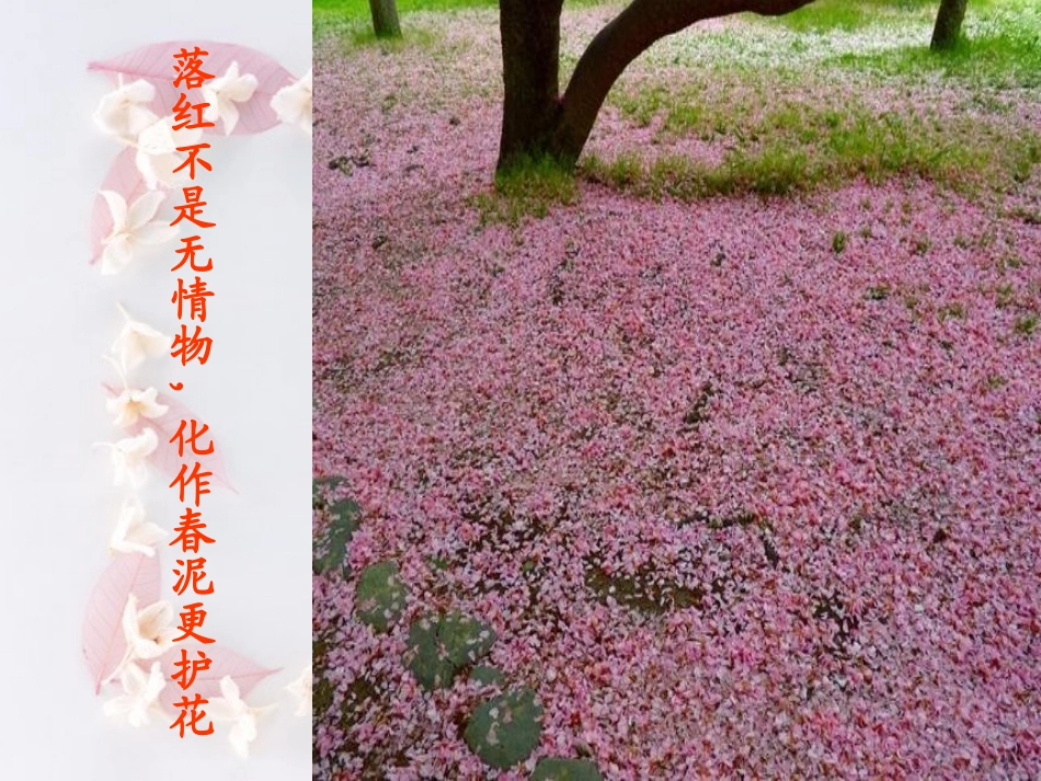 古诗文默写[1]_第3页