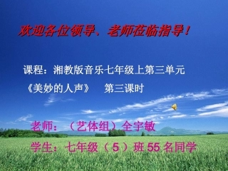 初中音乐美妙的人声2