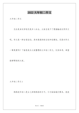 2024大年初二作文_7