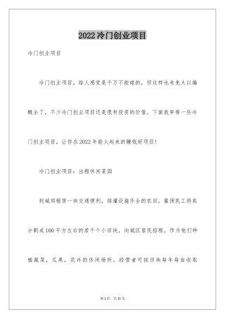 2024冷门创业项目