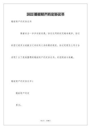 2024婚前财产约定协议书