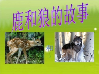 《鹿和狼的故事》教学课件