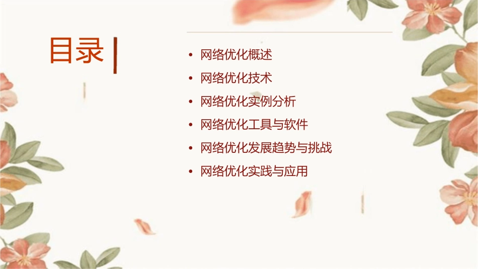 网络优化及实例课件_第2页