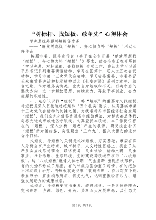 “树标杆、找短板、敢争先”心得体会