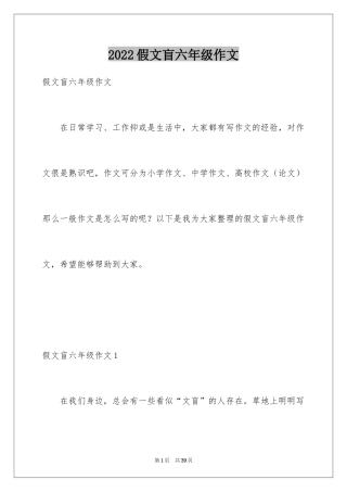 2024假文盲六年级作文_2