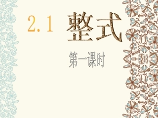 整式第一课时