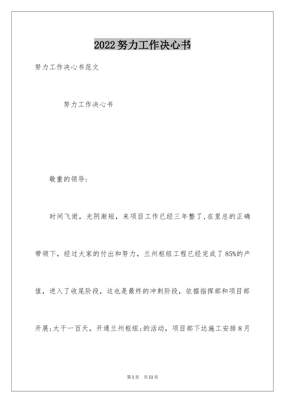 2024努力工作决心书_第1页