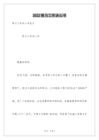 2024努力工作决心书