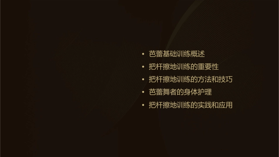 芭蕾基础训练把杆擦地护理课件_第2页