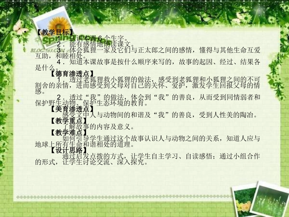 金色的脚印课件_第3页