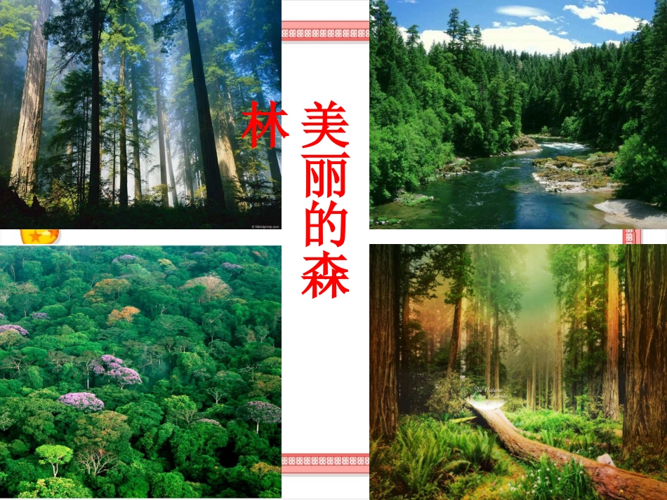 、小熊住山洞_第1页