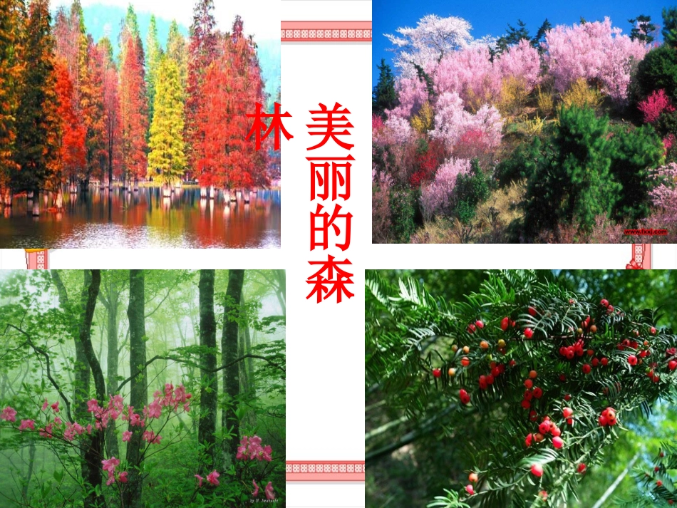 、小熊住山洞_第2页