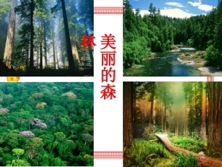 、小熊住山洞