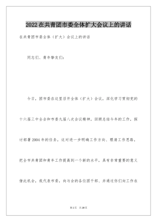 2024在共青团市委全体扩大会议上的讲话